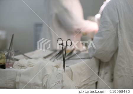 Medical tweezers for the operation.Surgery in the hospital Medical tweezers for the operation.Surgery in the hospital 119968480