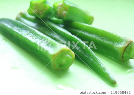 夏季蔬菜系列、秋葵 119968481