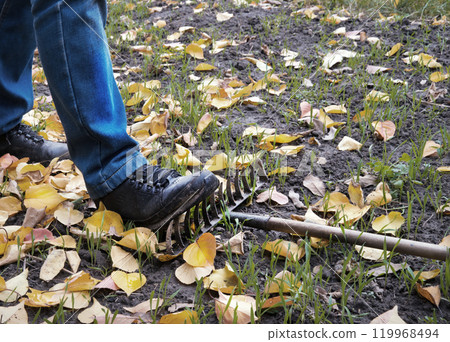 Male foot steps on a lying rake 119968494