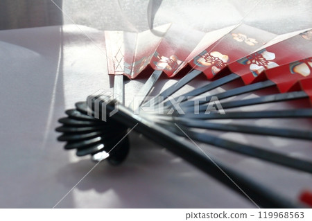 Japanese traditional craft, folding fan 119968563