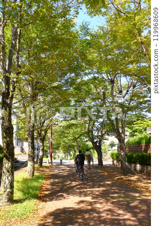 《兵庫縣》三田市長廊陽光 119968609