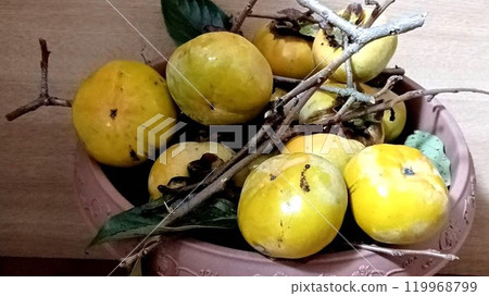 Harvested home-grown Fuyu persimmons 119968799