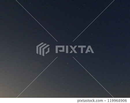 知多郡南知多櫻花公園 119968906