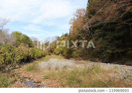秋天的河岸(埼玉縣秩父郡小森川) 秋天的河岸(埼玉縣秩父郡小森川) 119969093
