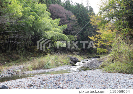 秋天的河岸(埼玉縣秩父郡小森川) 秋天的河岸(埼玉縣秩父郡小森川) 119969094