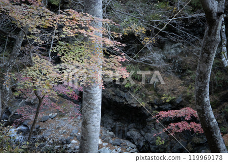 Autumn leaves in the valley 119969178