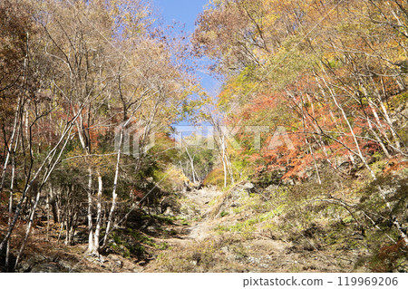 Autumn leaves in the mountains (Nakatsukyo, Chichibu City, Saitama Prefecture) 119969206