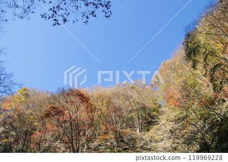山中的紅葉（埼玉縣秩父市中津鄉） 119969228