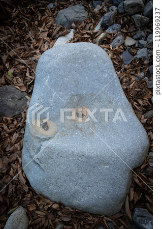 A stone that looks like a hyottoko A stone that looks like a hyottoko 119969237