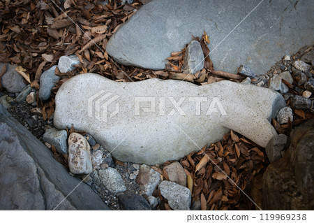 Bird-like stone Bird-like stone 119969238