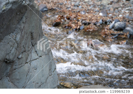 Riverside rocks (Nakatsugawa, Chichibu region, Saitama prefecture) Riverside rocks (Nakatsugawa, Chichibu region, Saitama prefecture) 119969239