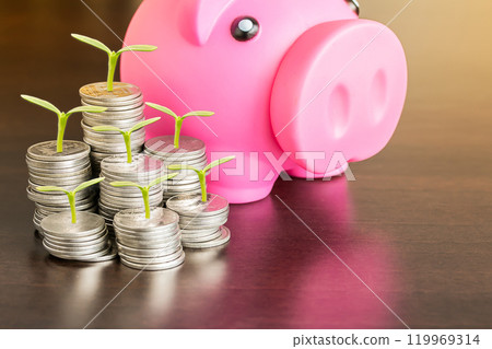 Smart Financial Growth: Pink Piggy Bank and Multiple Coin Stacks with Sprouts 119969314