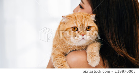A touching moment captured in this close-up back view, a woman carries her adorable Scottish Fold cat, their eyes speak volumes about the depth of their special bond. Copy space in the background. A touching moment captured in this close-up back view, a woman carries her adorable Scottish Fold cat, their eyes speak volumes about the depth of their special bond. Copy space in the background. 119970005