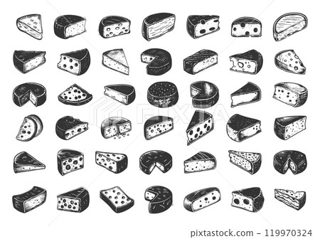 Different Cheese Icons Set Woodcut Vintage Style Black on White Classic Cheese Varieties Including Hard Cheddar Soft Brie Blue Cheese Gouda Swiss Cheese Parmesan Feta Artisanal 119970324