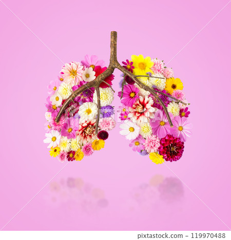 Mock-up in the shape of human lungs made of flowers with reflection isolated on pink background. Concept of fresh air, clean environment, human health. World Pneumonia Day. World COPD Day 119970488