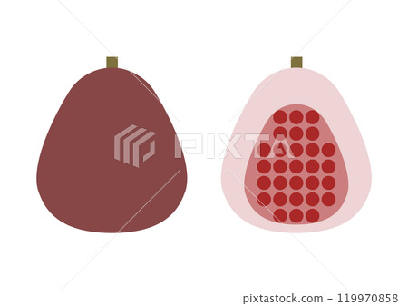 Fig front and cross section icon illustration 119970858
