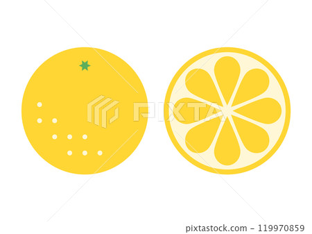 葡萄柚正面和橫截面圖示說明 119970859