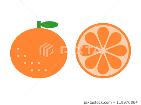 柑橘正面和橫截面的圖標說明 119970864