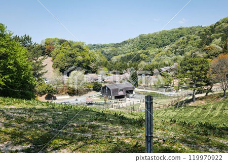 Kuragaike Park Zoo Toyota City 119970922
