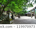 Shirakawa Hachiman Shrine 119970973