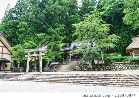 白川八幡神社 119970974