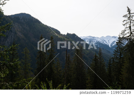 Snowy mountains, green forests In National park Zakopane Poland. Mountain nature landscape. Blue sky. Travel outdoors green tourism concept Naturecore Snowy mountains, green forests In National park Zakopane Poland. Mountain nature landscape. Blue sky. Travel outdoors green tourism concept Naturecore 119971259