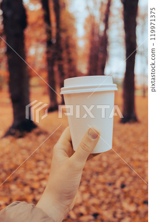 Unrecognizable woman hand holding Eco zero waste white paper cup copy space mockup. Fall leaves and cup of tea coffee to go next to autumn nature. Unite with nature Unrecognizable woman hand holding Eco zero waste white paper cup copy space mockup. Fall leaves and cup of tea coffee to go next to autumn nature. Unite with nature 119971375