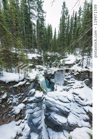 Frozen Maligne Canyon with pine forest in winter at Jasper national park, Canada Frozen Maligne Canyon with pine forest in winter at Jasper national park, Canada 119971599
