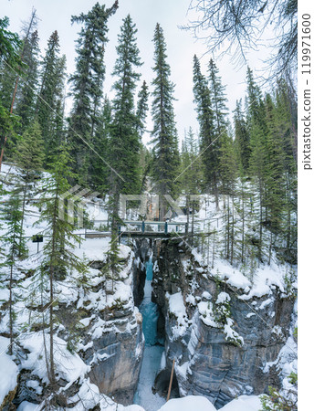 Snow covered in pine forest and gorge at Natural bridge, Yoho national park, Canada 119971600