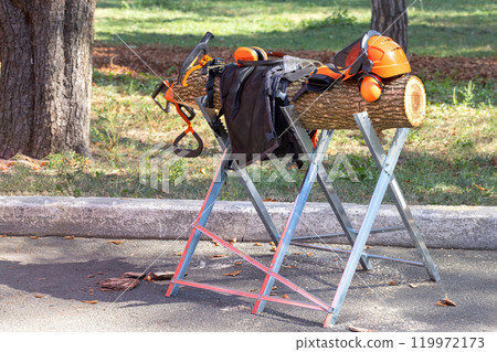 Work equipment on display with safety gear and tools beside a tree in a sunny outdoor setting Work equipment on display with safety gear and tools beside a tree in a sunny outdoor setting 119972173