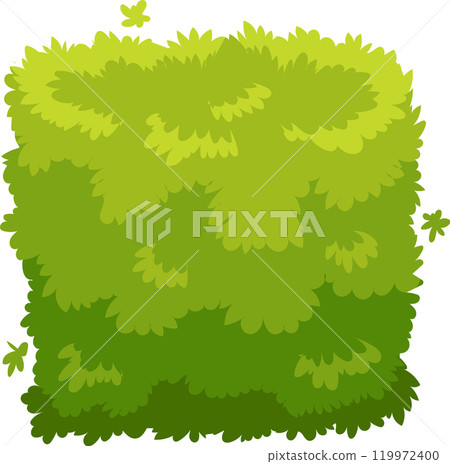 Vibrant green foliage enhances gardens, parks, and landscaping, creating a natural and inviting atmosphere while offering privacy and visual interest 119972400