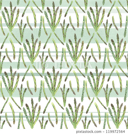 Green asparagus sprouts on green stripe background seamless isolated pattern. Fresh vegetable stems bundle watercolor food illustration. For dish presentations, menu, kitchen textile decor. Green asparagus sprouts on green stripe background seamless isolated pattern. Fresh vegetable stems bundle watercolor food illustration. For dish presentations, menu, kitchen textile decor. 119972564