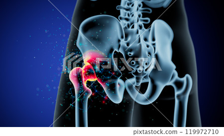 Dynamic Anatomy of the Human Hip Joint: Structure and Movement Insights 119972710
