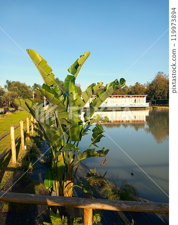 Pond in the park with a white gazebo Pond in the park with a white gazebo 119973894