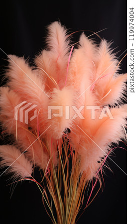 A bouquet of soft peach color feathers against a dark background 119974004