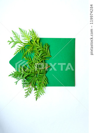 Green envelope adorned with fresh ferns on a clean white background, showcasing nature's beauty in natural decor Green envelope adorned with fresh ferns on a clean white background, showcasing nature's beauty in natural decor 119974284