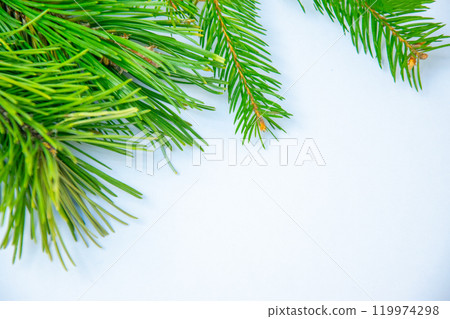 Fresh green pine branches arranged artistically on a plain background in natural lighting for a calming effect 119974298