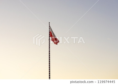 Waving on wind polish national flag. Symbol of national patriotism. 119974445