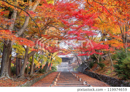Autumn leaves at Bishamon-do Temple 119974659