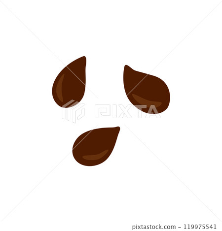 Apple Seed Isolated, Apples Seeds Group Apple Seed Isolated, Apples Seeds Group 119975541