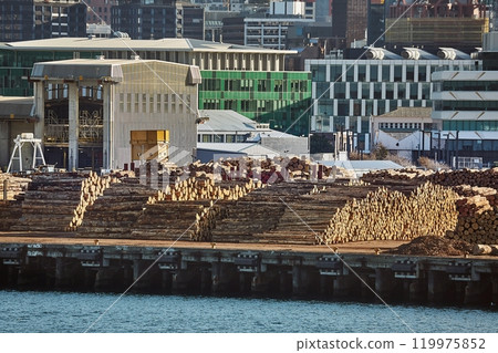 Logs in a pile, lumber transportation at a sea port Logs in a pile, lumber transportation at a sea port 119975852