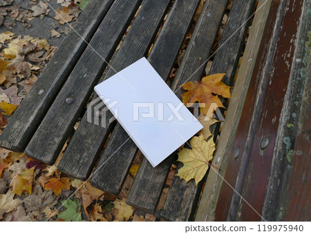 Book mockup on a bench in the park 119975940