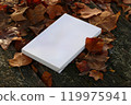 Book mockup and leafs 119975941
