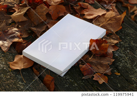 Book mockup and leafs 119975941