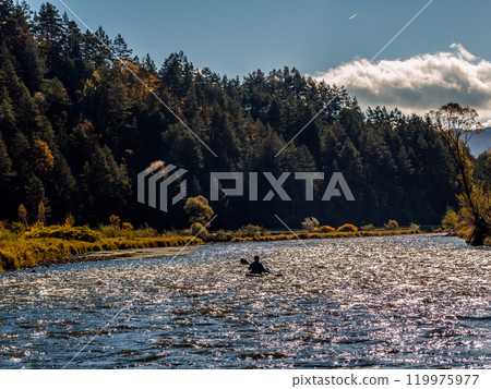 Serene Kayak Adventure Through Scenic Forest River Landscape 119975977