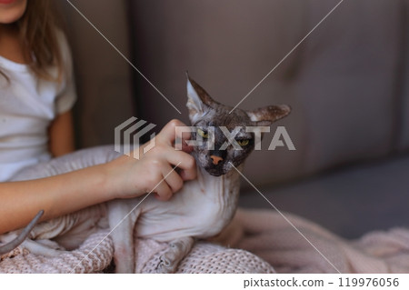 A joyful scene of a young girl playing with her adorable Sphynx cats. The unique, hairless cats are playfully interacting with her, creating a delightful atmosphere filled with laughter and affection. A joyful scene of a young girl playing with her adorable Sphynx cats. The unique, hairless cats are playfully interacting with her, creating a delightful atmosphere filled with laughter and affection. 119976056