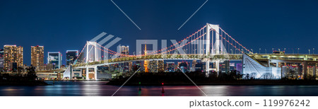 "Tokyo" Tokyo cityscape seen from Odaiba Night view 119976242