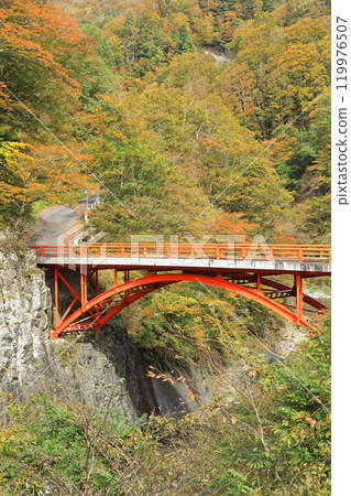 秋天的秋山鄉前倉橋 119976507