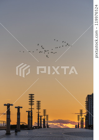 黃昏時分的「東京」有明/夢之大橋 夜景 119976524