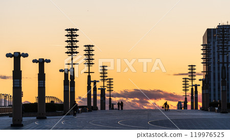 黃昏時分的「東京」有明/夢之大橋 夜景 119976525